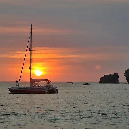 بيت ضيافة Gaivota Holidays *