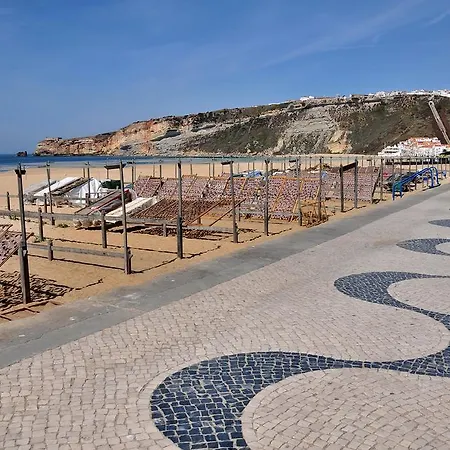 Gaivota Holidays بيت ضيافة